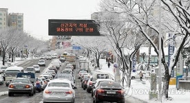 눈으로 뒤덮인 남국 제주