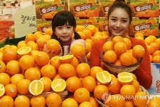 비타민C가 풍부한 오렌지를 저렴하게