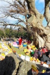 정월대보름 앞둬 제주 와흘 본향당굿