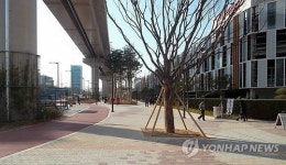 부산 사상광장로, 명품 가로공원 변신