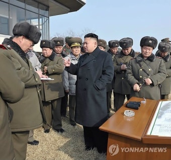 北김정은, 포사격 훈련 지도