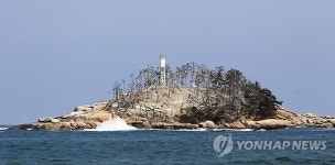 가마우지떼에 황폐화된 속초 조도