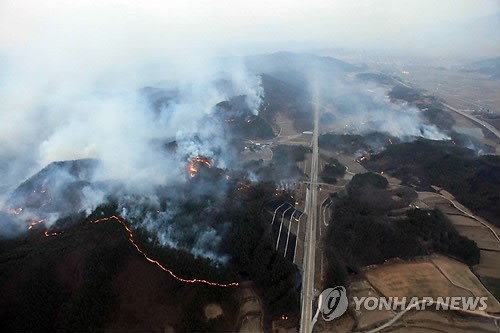 울산 송대리 산불로 주민 대피령, 화재 피해 확대와 대응 상황 관심 (79자)