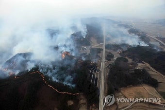 울산 송대리 산불로 주민 대피령, 화재 피해 확대와 대응 상황 관심 (79자)