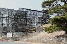 누워서 치료받는 괴산 왕소나무