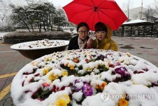 봄을 시샘했나?