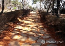 세종시 오봉산 맨발 등산로