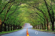 용인시, 향토문화답사 코스 확대 운영