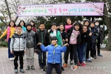 제주 함덕초 벚나무 88그루에 담긴 사연은?