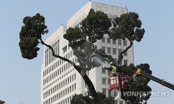 서초구 천년향, 새봄맞이 목욕