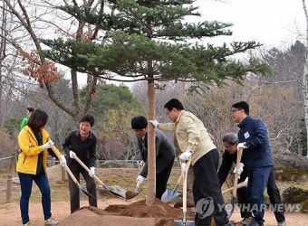 朴대통령, 식목일 맞아 토종 구상나무 식수