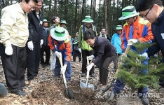 나무심는 박근혜 대통령