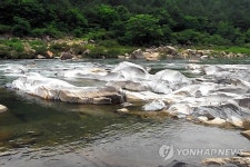 영월 요선암 돌개구멍 천연기념물 지정