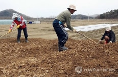 농사일로 바쁜 최전방 주민들