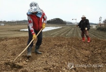 농사일로 바쁜 최전방 주민들
