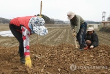 농사일로 바쁜 최전방 주민들