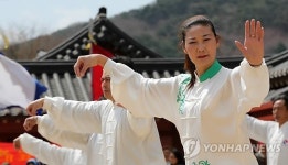 한-중 무술교류 태극권 시범