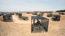 신안 임자도에 국내 최대 토피어리원 조성