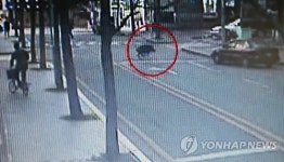 출근 시간 분당 야탑역에 멧돼지 출현…일대 소동
