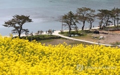 느림의 미학 청산도