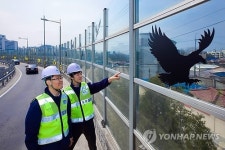 신내IC·반포IC에 조류 충돌 예방 버드세이버 설치