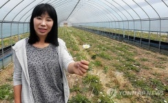 하얀민들레로 귀농 성공신화 충주 윤시현씨