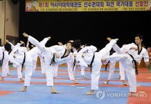 태권청년 발차기