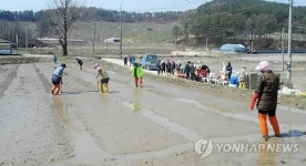 충주 도장골마을, '두레' 조직해 공동으로 농사