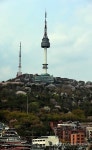 남산 벚꽃