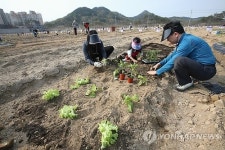 세종청사 공무원 주말농장 개장