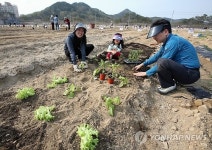 세종청사 공무원 주말농장 개장