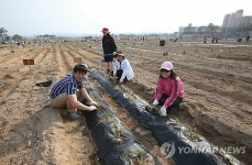 세종청사 공무원 주말농장 개장