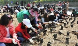 노원구, 한방 약초 체험학습 열어