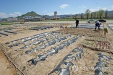 춘천 옛 미군기지에 생긴 주말농장