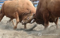 치열한 공방