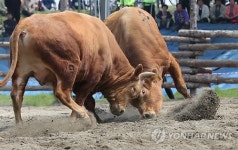 치열한 공방