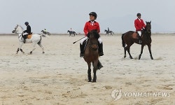 새만금서 즐기는 승마
