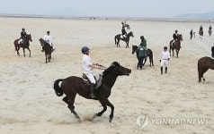 새만금서 말타기