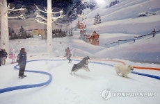 고양 원마운트 스노파크