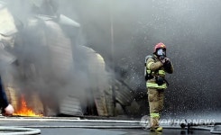 진화장품잡화 | 진화 준비