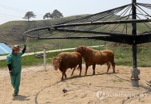 한우도 운동해요