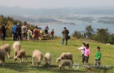 양들의 창조관광 펼쳐진 남해 양모리 학교