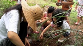 <새영화> 성미산마을 이야기 춤추는 숲