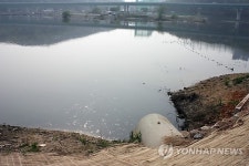 악취 풀풀 나는 기흥호수