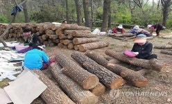 광주 제4수원지 유휴지 활용 표고버섯재배