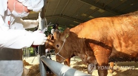 구제역 발생 대비 가상 방역훈련