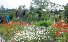 선흘꽃밭서 만나는 제주 신화 서천꽃밭 이야기