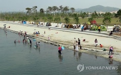 호수욕장으로 변모한 세종호수공원