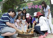 <카메라뉴스> 인제 진동계곡 산나물 축제 성황