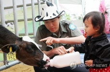 청주 도심에 젖소가…목장 체험행사 눈길